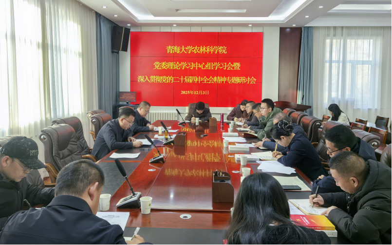 1111d3b966764342807834b41e752e46.png 微信图片_20251205101402_495_3.png